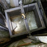 Une truite d’Europe à l’entrée de l’ascenseur à poissons (au centre) d’Innertkirchen. Une fois remontés, les poissons sont conduits dans le bassin à l’aide d’un jet d’eau.