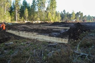 Des palissades en bois dans la tourbe