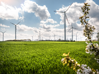 Centrale éolienne Holleben