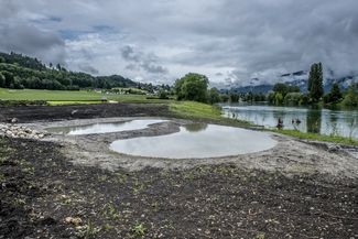 Deux étangs pour amphibiens