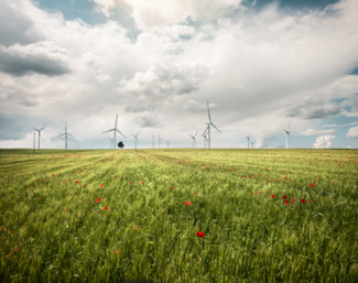 Windräder in einem Weizenfeld mit Mohnblumen