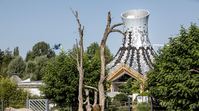 Der Zauberhut im Zoo