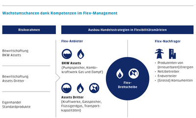 Die Grafik zeigt auf der einen Seite, wie die BKW mit eigenen und Drittkraftwerken Flexibilitätsdienstleistungen anbietet. Auf der anderen Seite der Grafik stehen die Flexibilitäts-Nachfrager wie zum Beispiel Produzenten von erneuerbaren Energien und Netzbetreiber.  