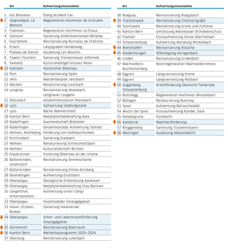 Liste mit den laufenden Projekten
