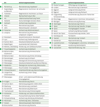 Liste mit den laufenden Projekten