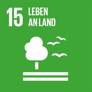 SDG 15 – Leben an Land