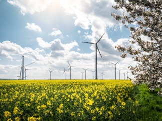 Holleben wind farm