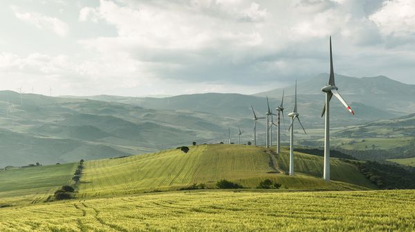 Sonnige Landschaft mit Windkraft im Vordergrund