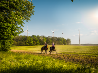 Der Windpark Wulkow