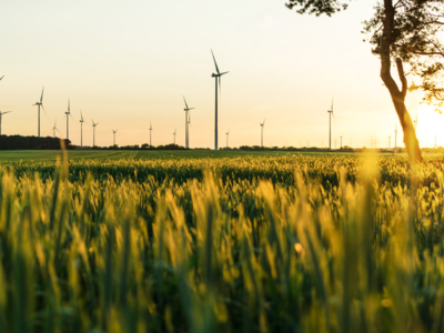 Wind Energy Trading WET AG - BKW