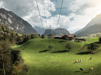 Bild mit Stromleitung im Hintergrund ist ein Bauernhaus zu sehen. Auf der untern Wiese weiden Kühe.