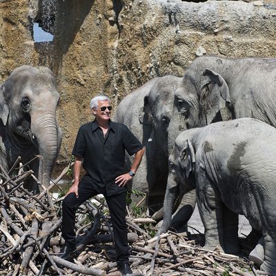 Franco Knie, Miteigentümer von Knies Kinderzoo in Rapperswil