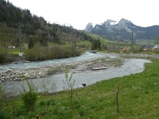 Cours d'eau avec bras principal et bras secondaire