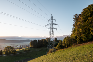 An einem Waldrand steht ein Strommasten der Netzebene 5, im Hintergrund sieht man eine Bergkette.