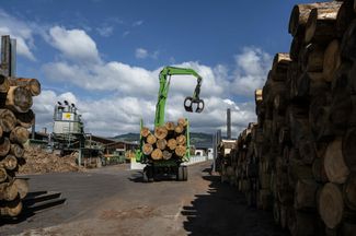 Olwo transforme 55’000 mètres cubes de bois rond chaque année. Tous les troncs doivent être débarrassés de leur écorce.