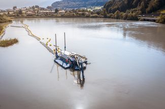 Die Wasserspinne im Abendlicht